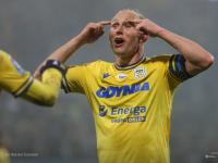 Gojny na dłużej w Arce